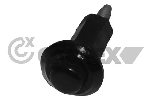 030385 Cautex