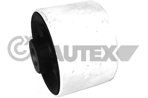 755431 Cautex