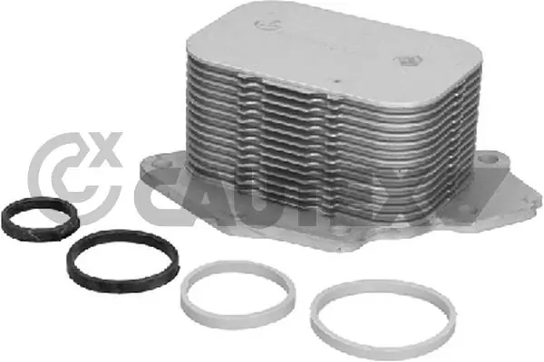 031552 Cautex
