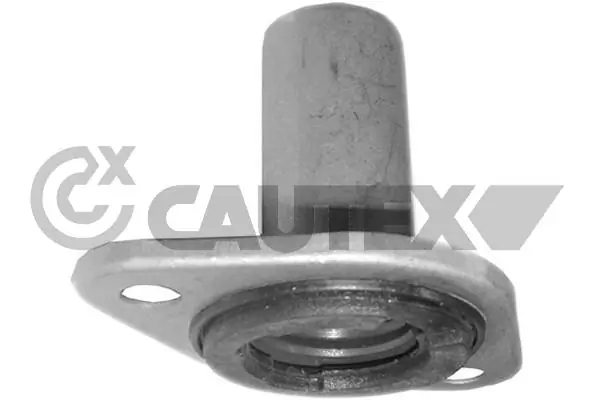 031571 Cautex