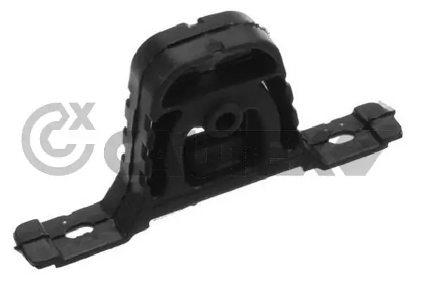 200530 Cautex