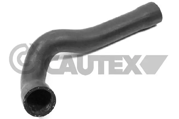 206014 Cautex