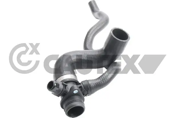 765515 Cautex