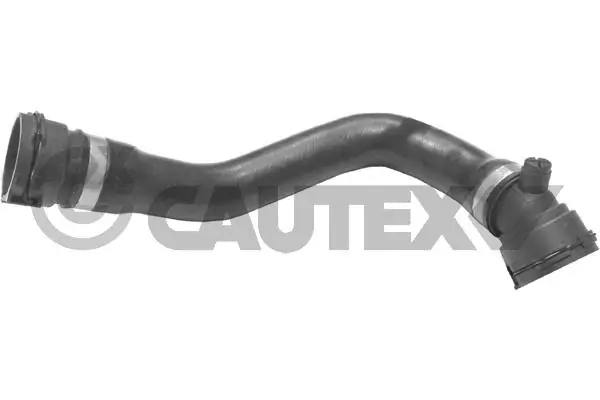754299 Cautex