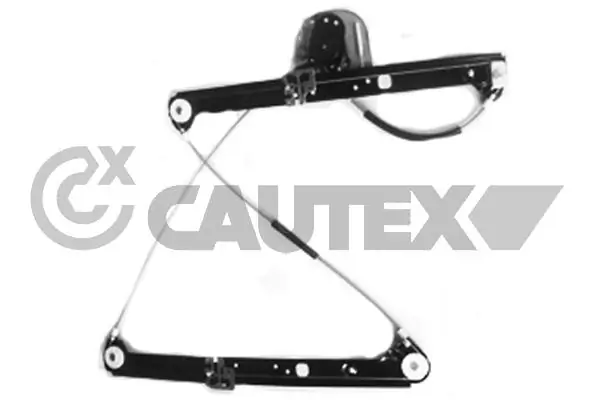 207073 Cautex