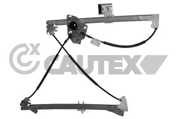 207065 Cautex