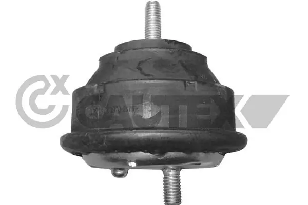 200931 Cautex
