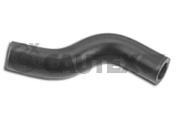 011353 Cautex