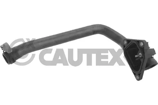 765430 Cautex