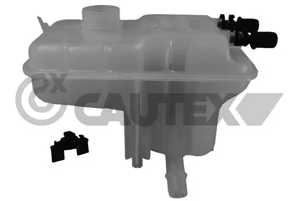 955456 Cautex