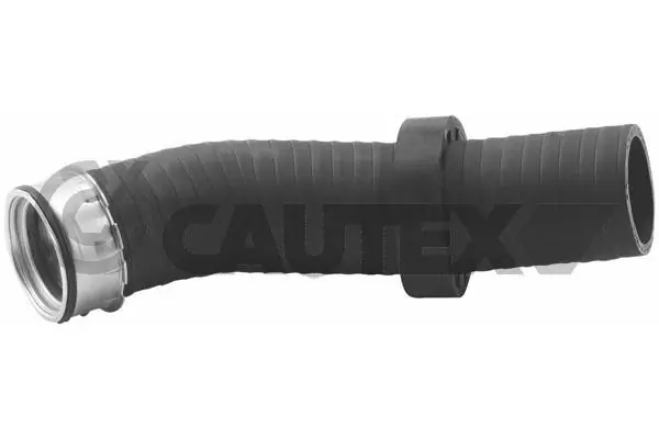 753107 Cautex