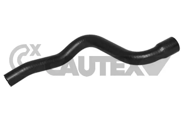 031339 Cautex
