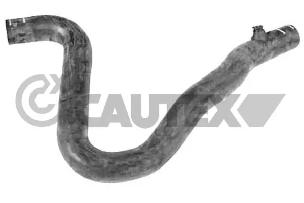 036697 Cautex