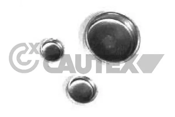 950126 Cautex