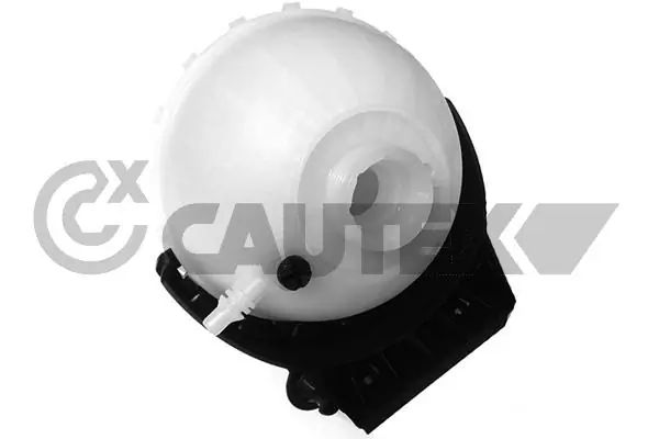 750322 Cautex