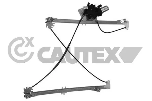 207069 Cautex