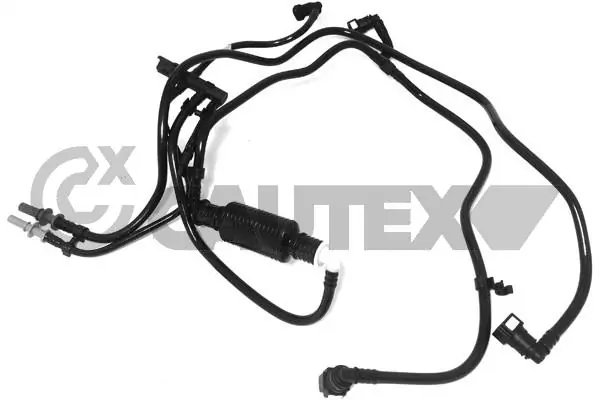 031703 Cautex