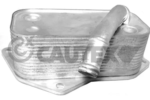 201587 Cautex