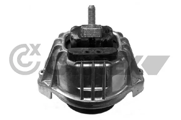 201596 Cautex