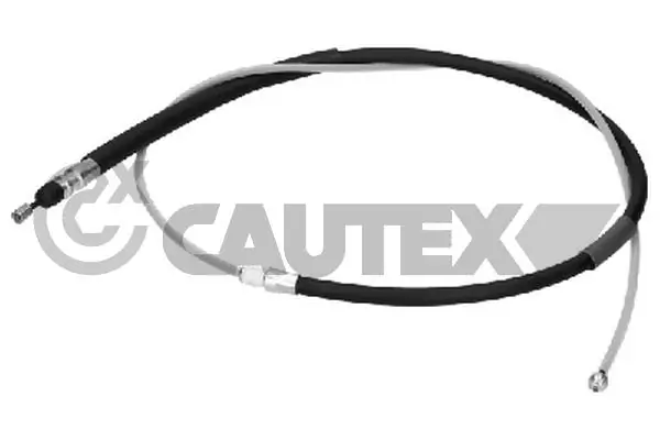 208029 Cautex