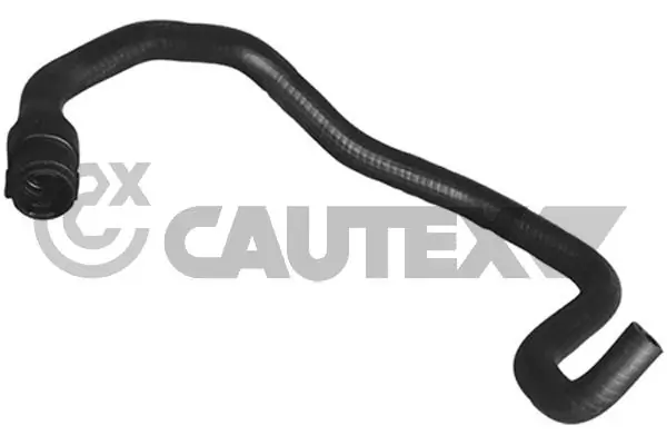 Tubería de radiador, alimentación 036736 Cautex