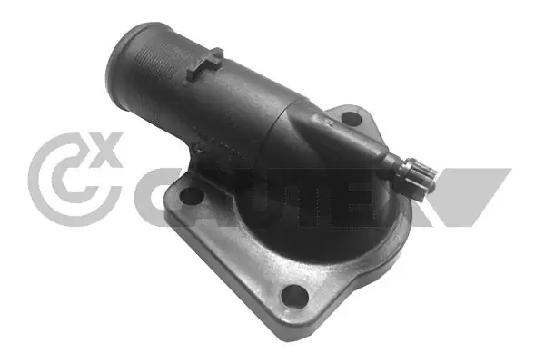 952163 Cautex