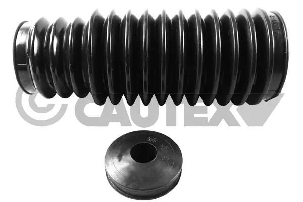 201525 Cautex