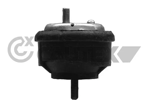 200937 Cautex