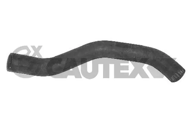 036396 Cautex