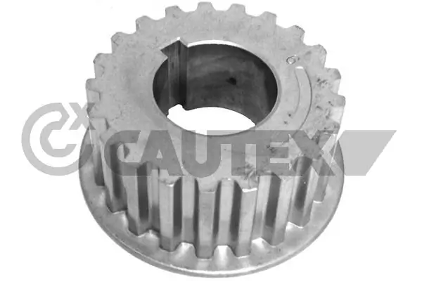 031467 Cautex