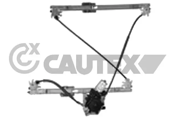 207013 Cautex