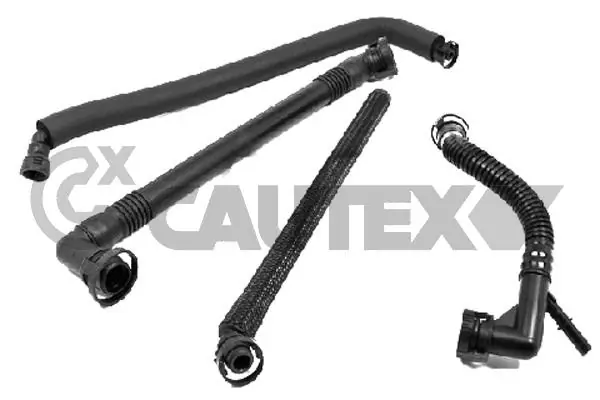 206039 Cautex