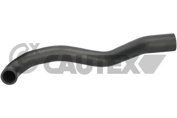 206025 Cautex