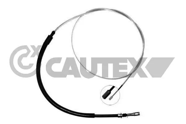 038292 Cautex