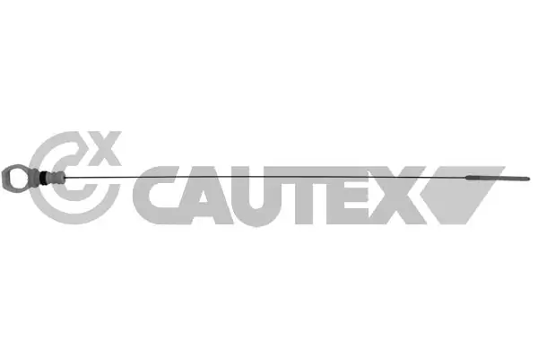 031403 Cautex
