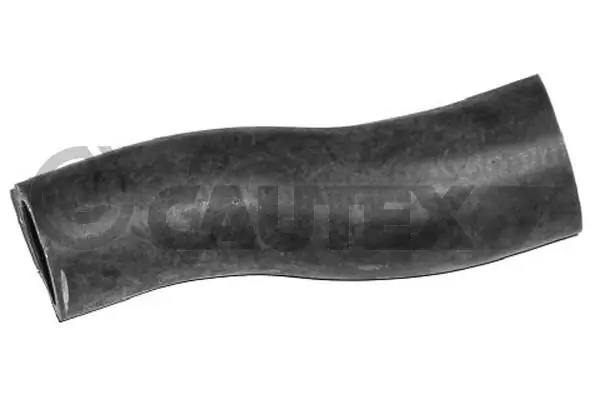 036367 Cautex