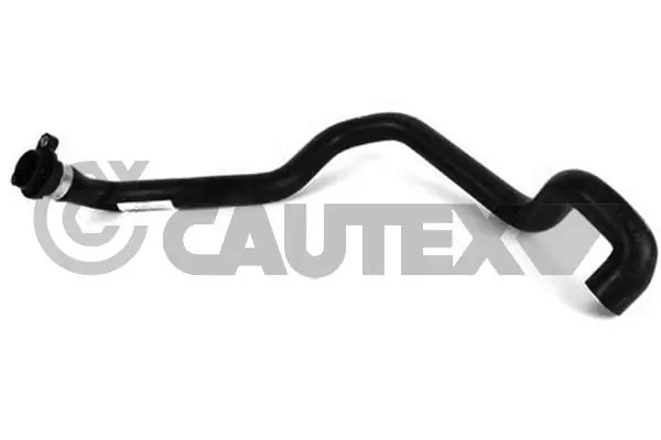 754341 Cautex