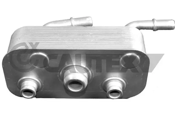 201584 Cautex
