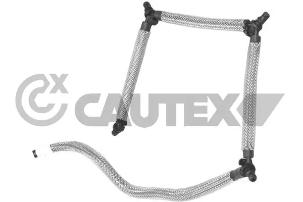 031707 Cautex