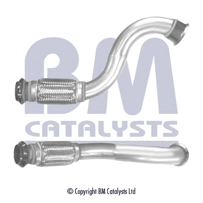 BM50295 BM Catalysts