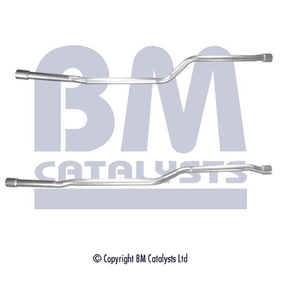 BM50491 BM Catalysts
