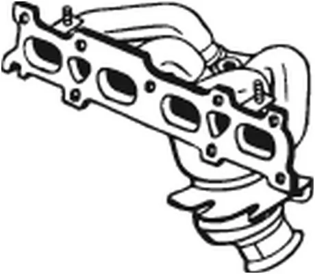 090712 Bosal