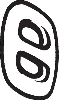 255829 Bosal