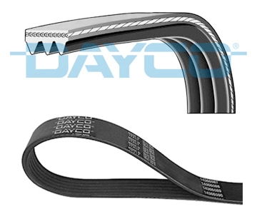 3PK800 Dayco