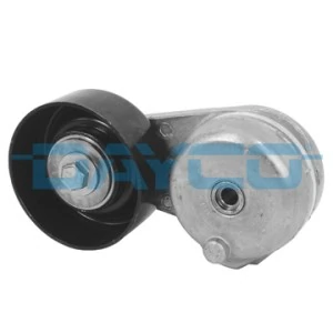 APV2447 Dayco