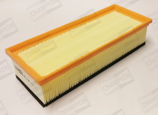 Воздушный фильтр RF1434FWB Goodrem