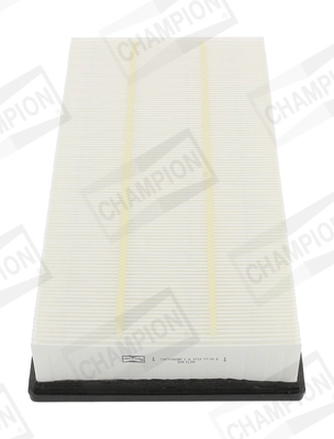 CAF100808P Champion
