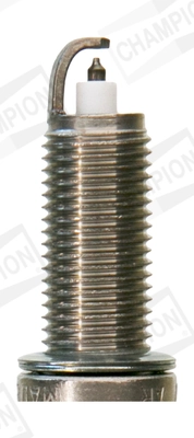 OE242 Champion