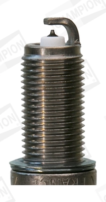OE224 Champion
