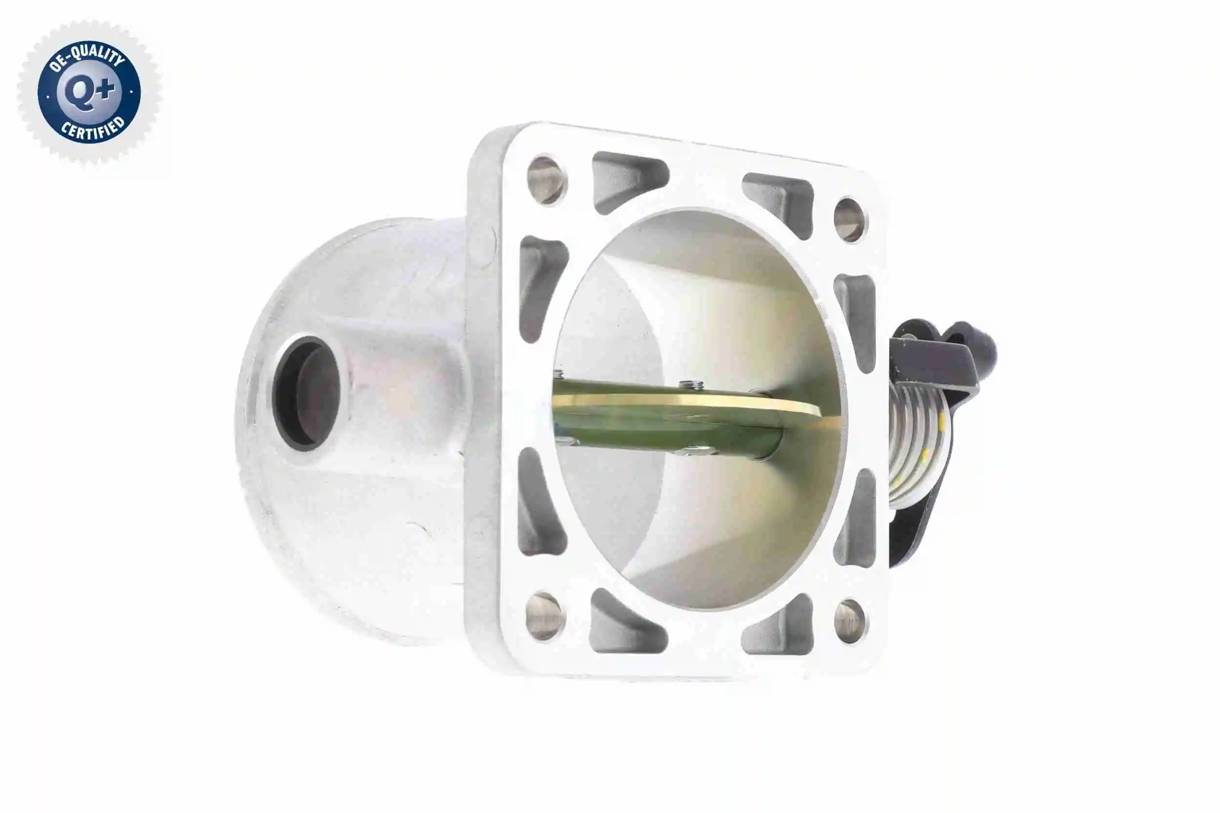 Válvula de borboleta montada A53810009 Ackojap